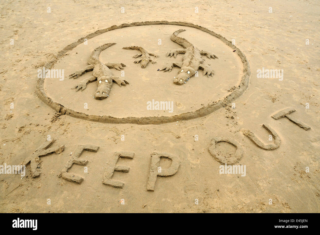 Piscine Crocodile sculpture de sable sur une plage de sable à marée basse, la plage de Rhossili, la péninsule de Gower, au Pays de Galles Banque D'Images