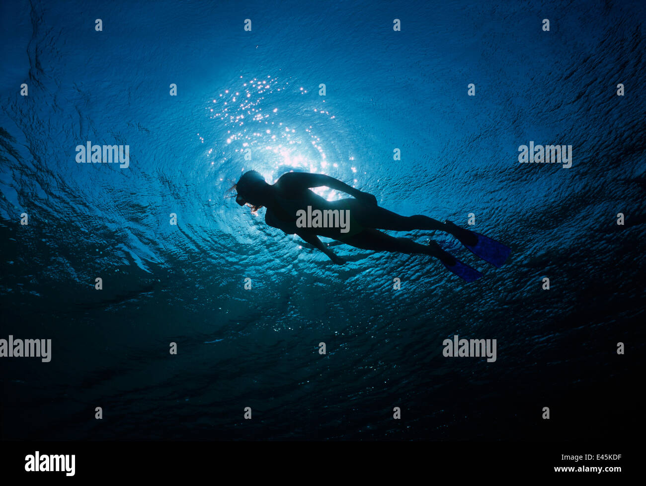 Silhouette de snorkeler natation plus de coraux, Sinaï, Egypte, Mer Rouge parution Modèle Banque D'Images