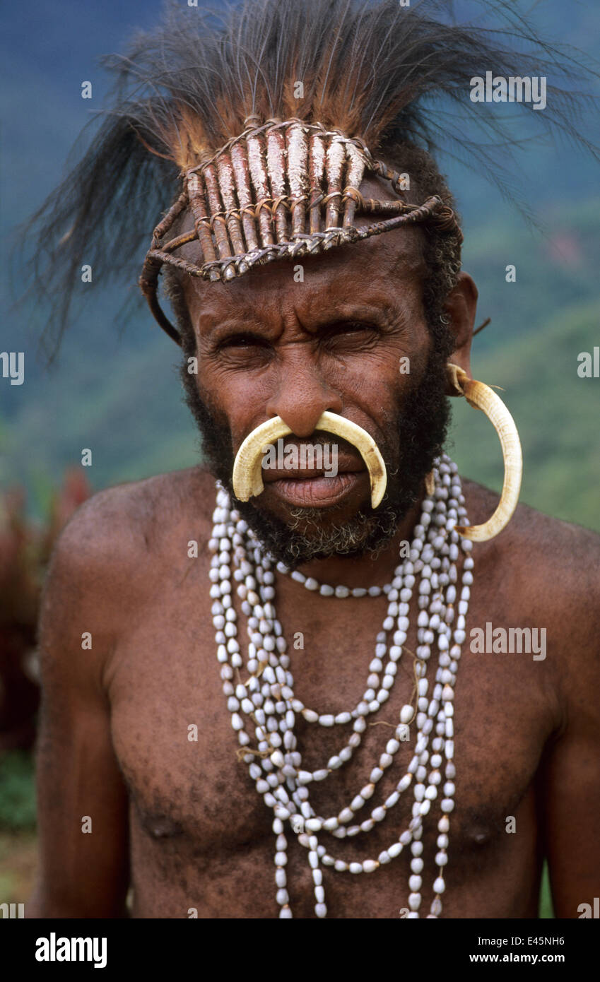 Portrait de Yali hunter en costume traditionnel, avec ornement de nez de cochon sauvage faite d'os, et couvre-chef en plumes de coq. La Papouasie occidentale, ex Irian-Jaya, Indonésie, août 2002 Banque D'Images