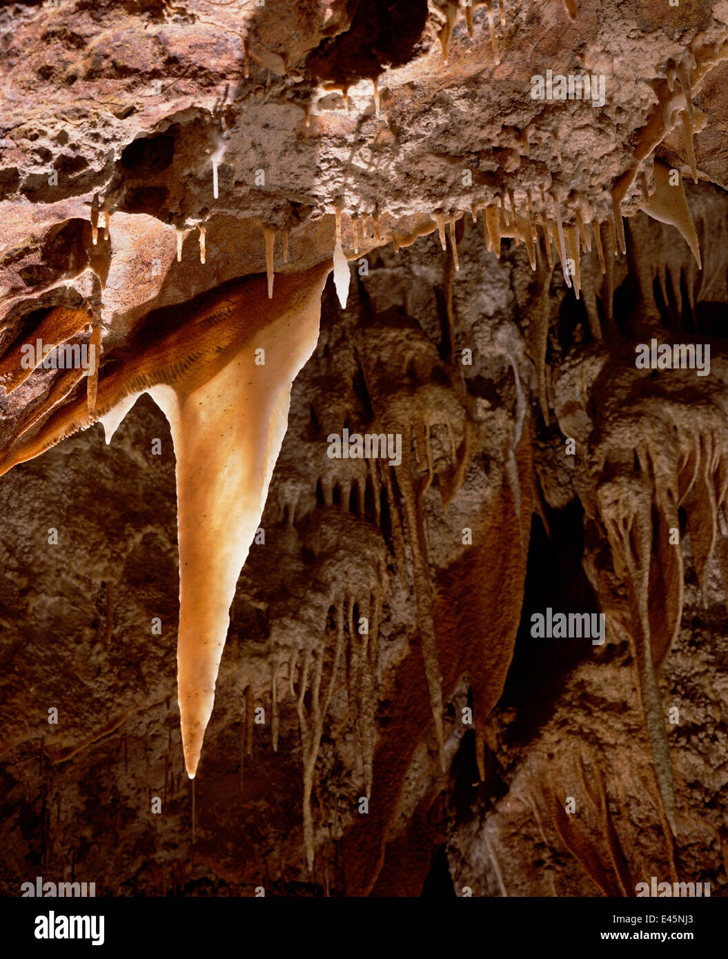 Long John Silver stalactite dans les grottes de Marble Arch, Enniskillen, dans le comté de Fermanagh, Irlande du Nord, Royaume-Uni, Janvier 1995 Banque D'Images