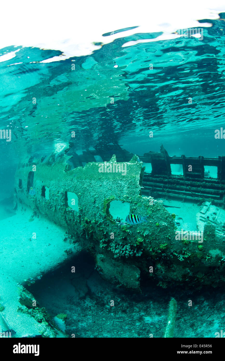 Plane wreck qui a formé un récif artificiel dans l'Exuma, Bahamas, Caraïbes. Juin 2009. Banque D'Images