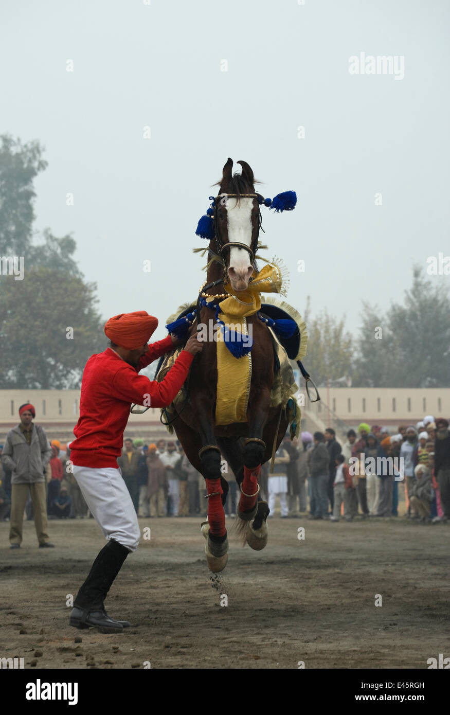 Un homme fait son Nukra Sikh danse du cheval au rythme d'un tambour pendant le festival de Maghi Mela, Muktsar, Punjab, en Inde. Janvier 2010 Banque D'Images