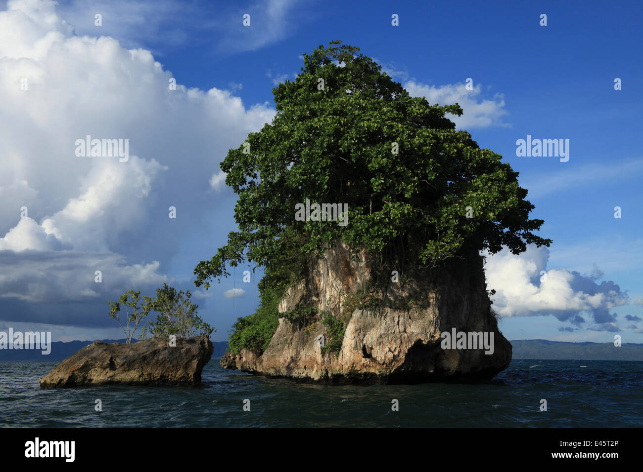 Les nuages de tempête sur l'approche de plus en plus de forêt tropicale sur l'île de calcaire, du parc national Los Haitises, République dominicaine, Caraïbes, Octobre 2009 Banque D'Images