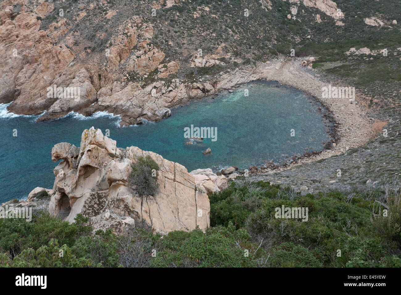 Vue sur une baie isolée entre Calvi et Galeria. L'île de Corse, France, Février 2010 Banque D'Images