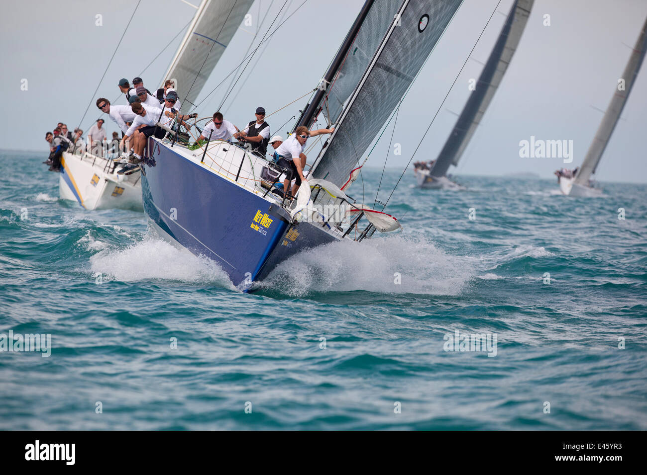 Vela 'Hedgehog' lors d'une course en Key West Race Week. Floride, USA, janvier 2011. Banque D'Images