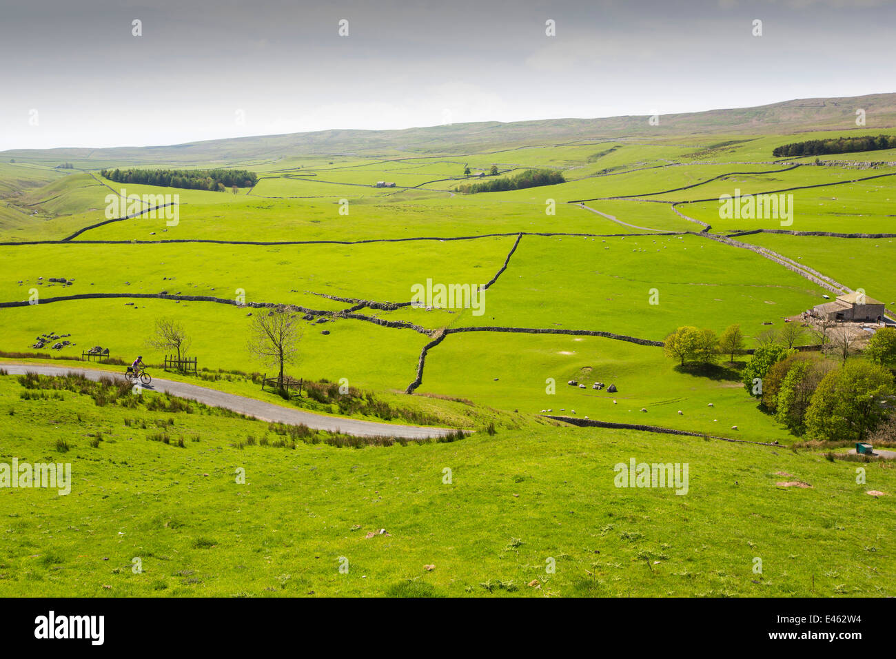 Un cycliste sur une voie entre Arncliffe et Malham dans le Yorkshire Dales, au Royaume-Uni. Banque D'Images