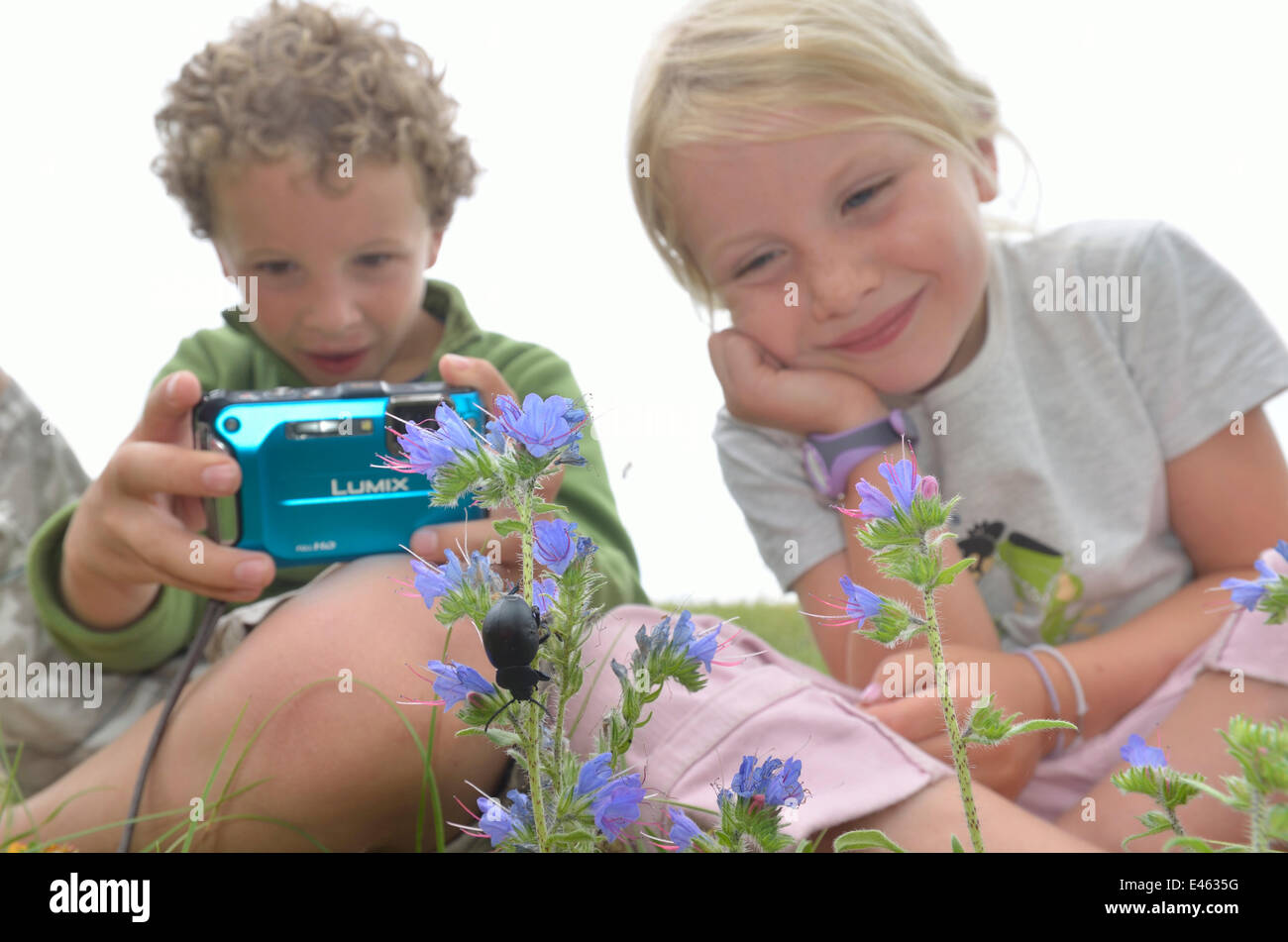 Les enfants en photographiant le jardin de fleurs et d'insectes. France, Europe, août. Parution du modèle. Banque D'Images