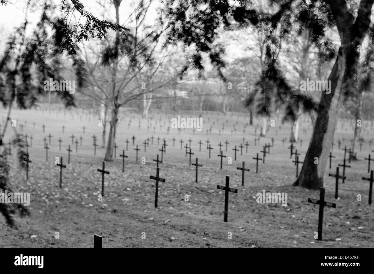 AJAXNETPHOTO - 2004 - ST. QUENTIN, FRANCE-PREMIÈRE GUERRE MONDIALE CIMETIÈRE POUR LES SOLDATS ALLEMANDS TOMBÉS AU COMBAT. PHOTO:JONATHAN EASTLAND/AJAX REF:4008 02 2 Banque D'Images