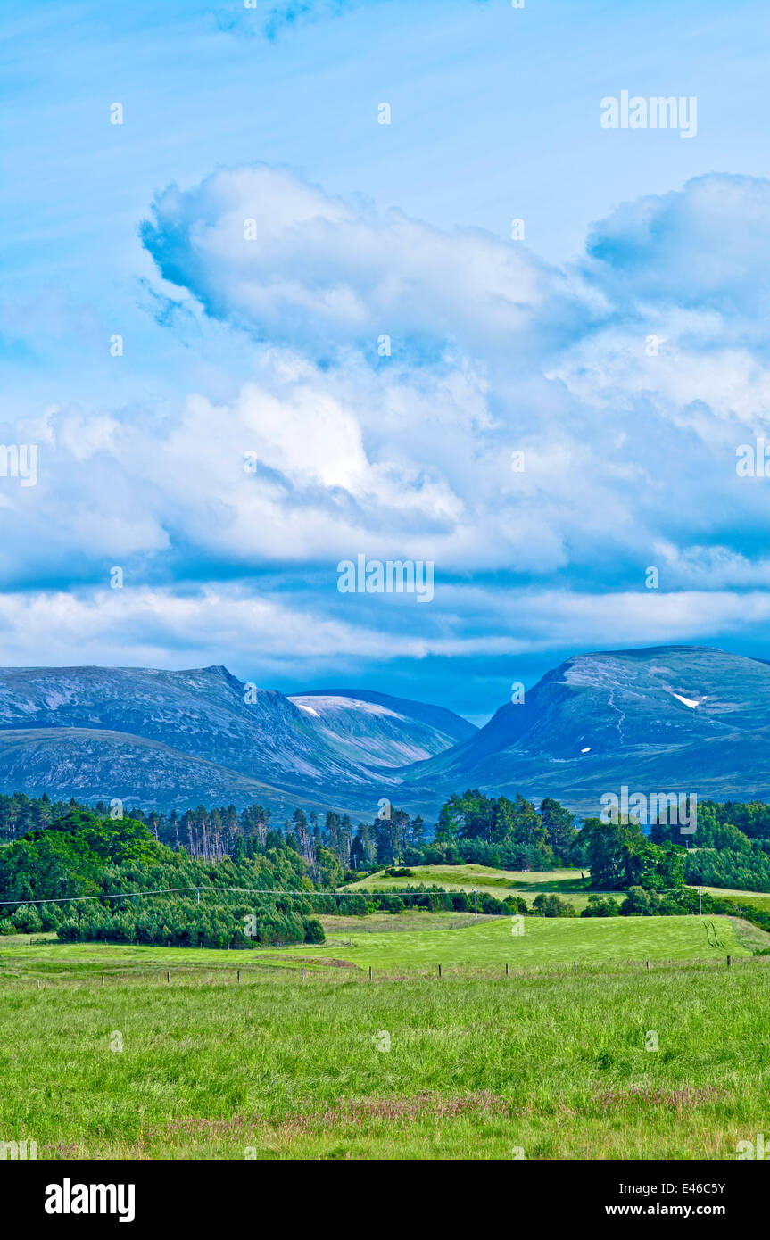 Le col de montagne Lairig Ghru vu à travers les terres agricoles et forestières sur le domaine de Rothiemurchus, près d'Aviemore, Scotland, Cairngorms Banque D'Images