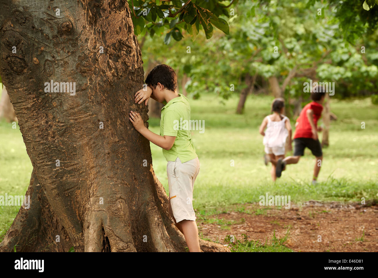 Les jeunes garçons et filles jouant à cache-cache dans le parc, avec kid comptant leaning on tree Banque D'Images
