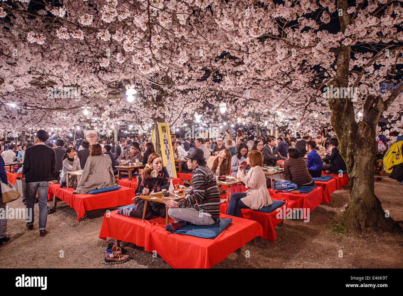Festival Hanami au parc Maruyama, Kyoto, Japon. Banque D'Images