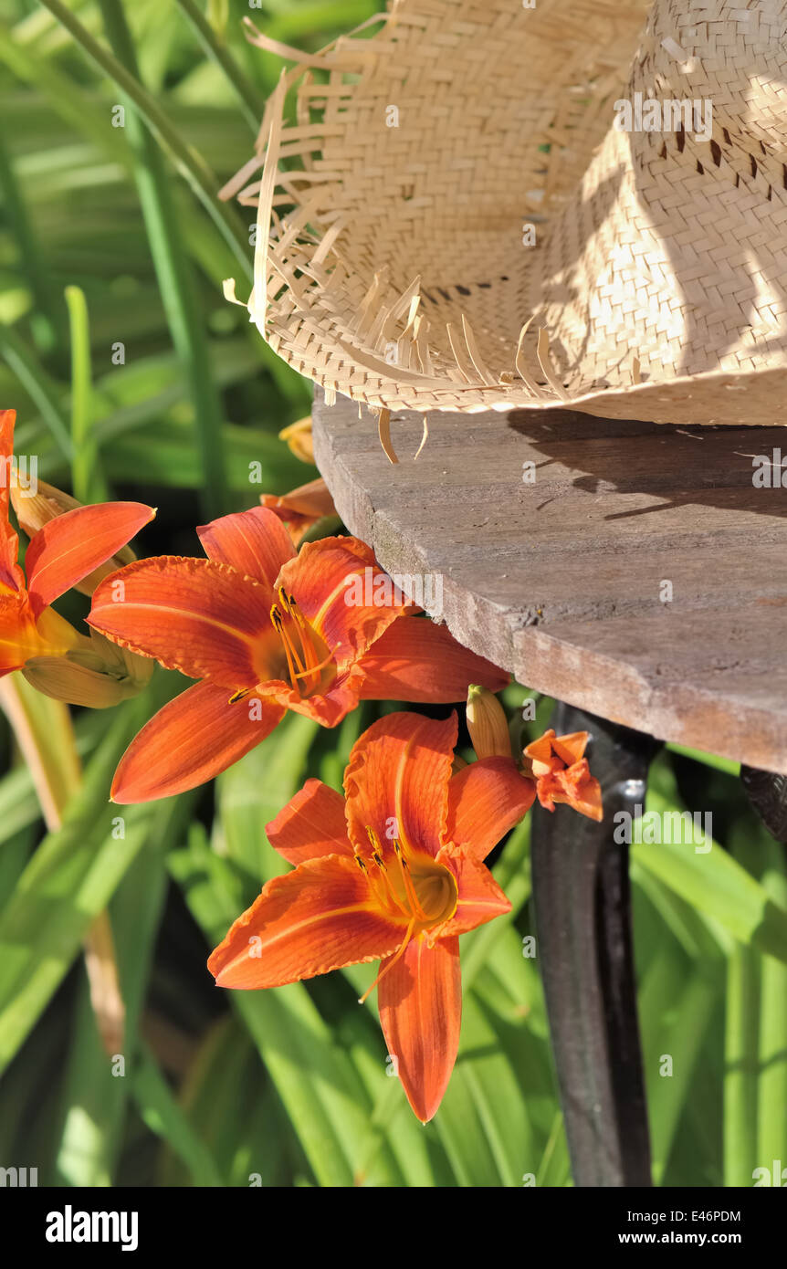 Chapeau de paille assis sur une table à côté de fleurs Banque D'Images