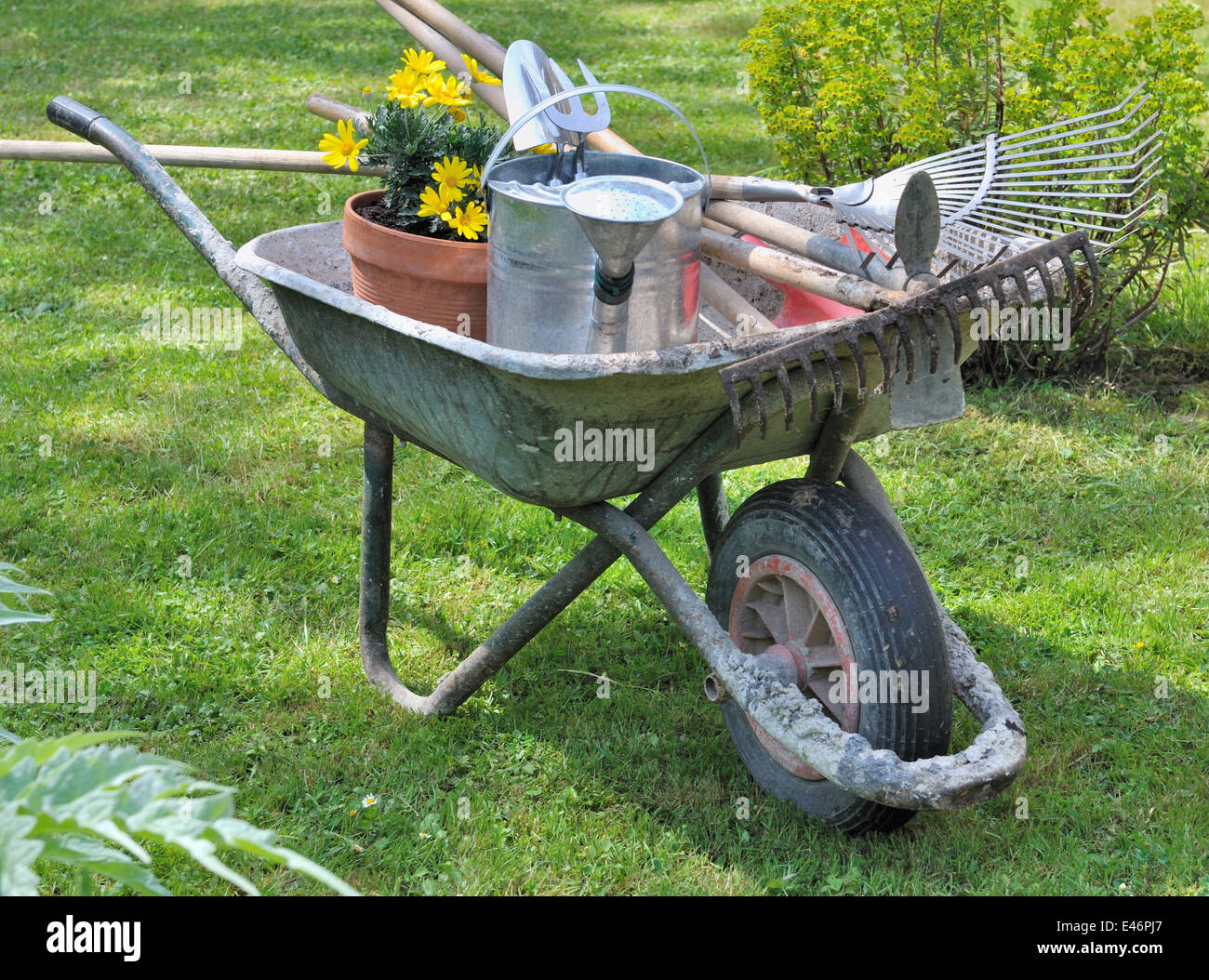 Outils de jardinage dans une brouette avec des fleurs en pot Banque D'Images