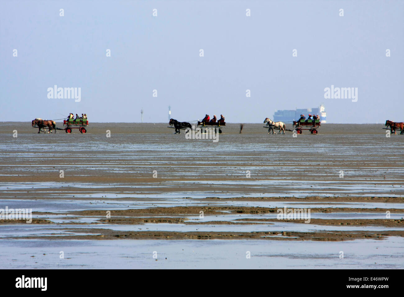 Watt-randonnée à cheval-voitures au cours de la marée de l'île Neuwerk. Avec ebb, le naufrage sur la mer-miroir est marquée à cause des marées. La fin de la marée descendante est appelée basse-eaux. Photo : Klaus Nowottnick Date : 11 mai, 2013 Banque D'Images