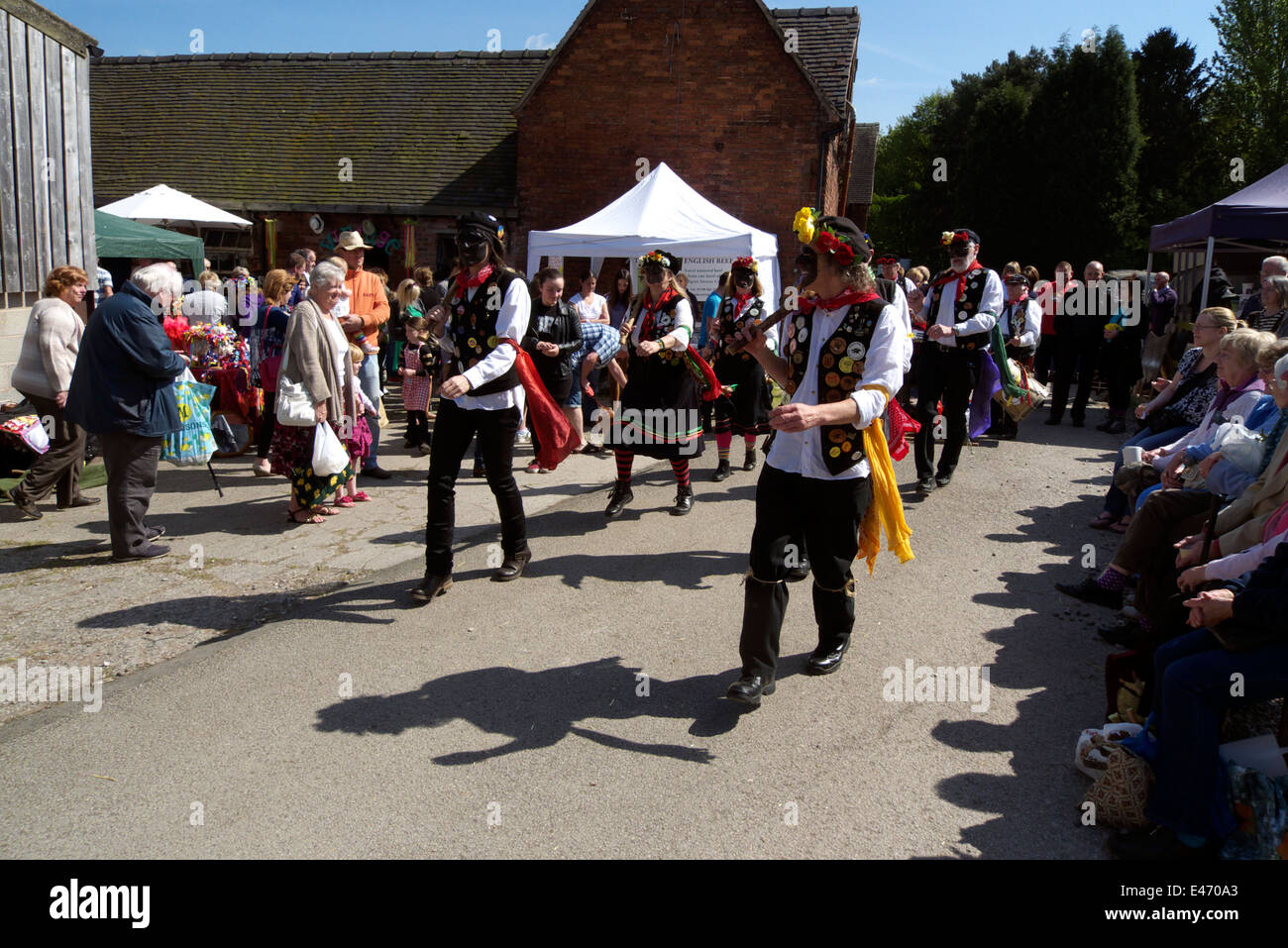 Chien Noir Molly, un groupe de danse traditionnelle, de l'exécution lors d'un événement dans Cheshire, Royaume-Uni. Banque D'Images