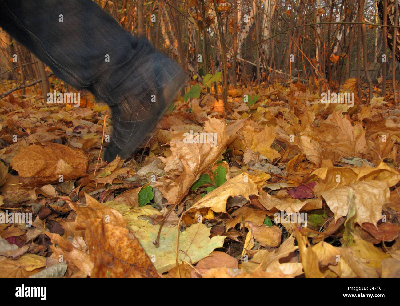 Berlin, Allemagne, symbole photo, tournant sur les feuilles d'automne Banque D'Images