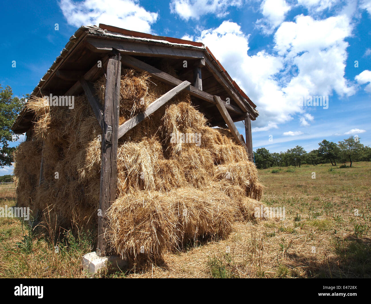 Grange à foin dans les régions rurales de l'Istrie Banque D'Images