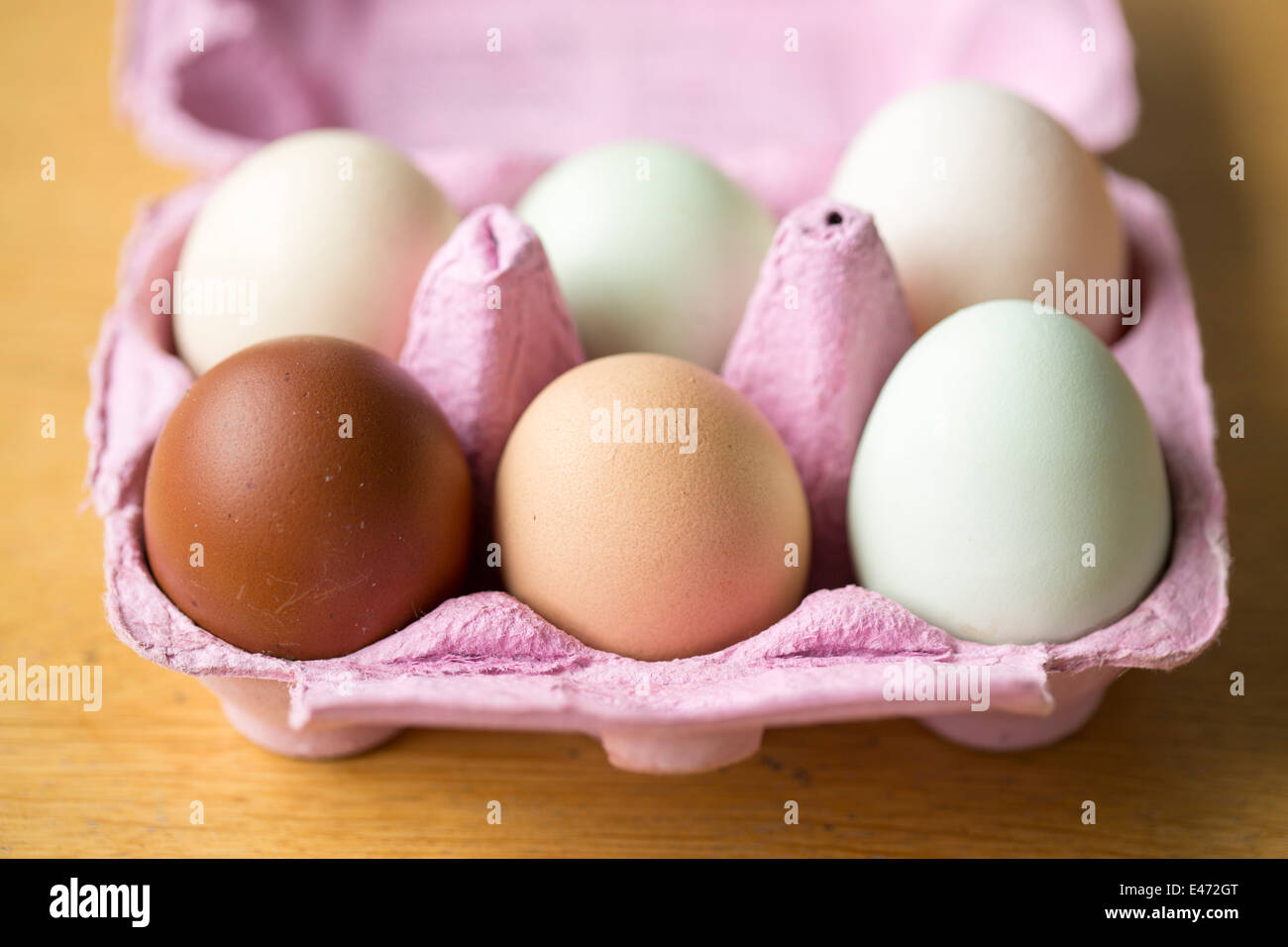 Des œufs de poules heureux de races différentes. Banque D'Images