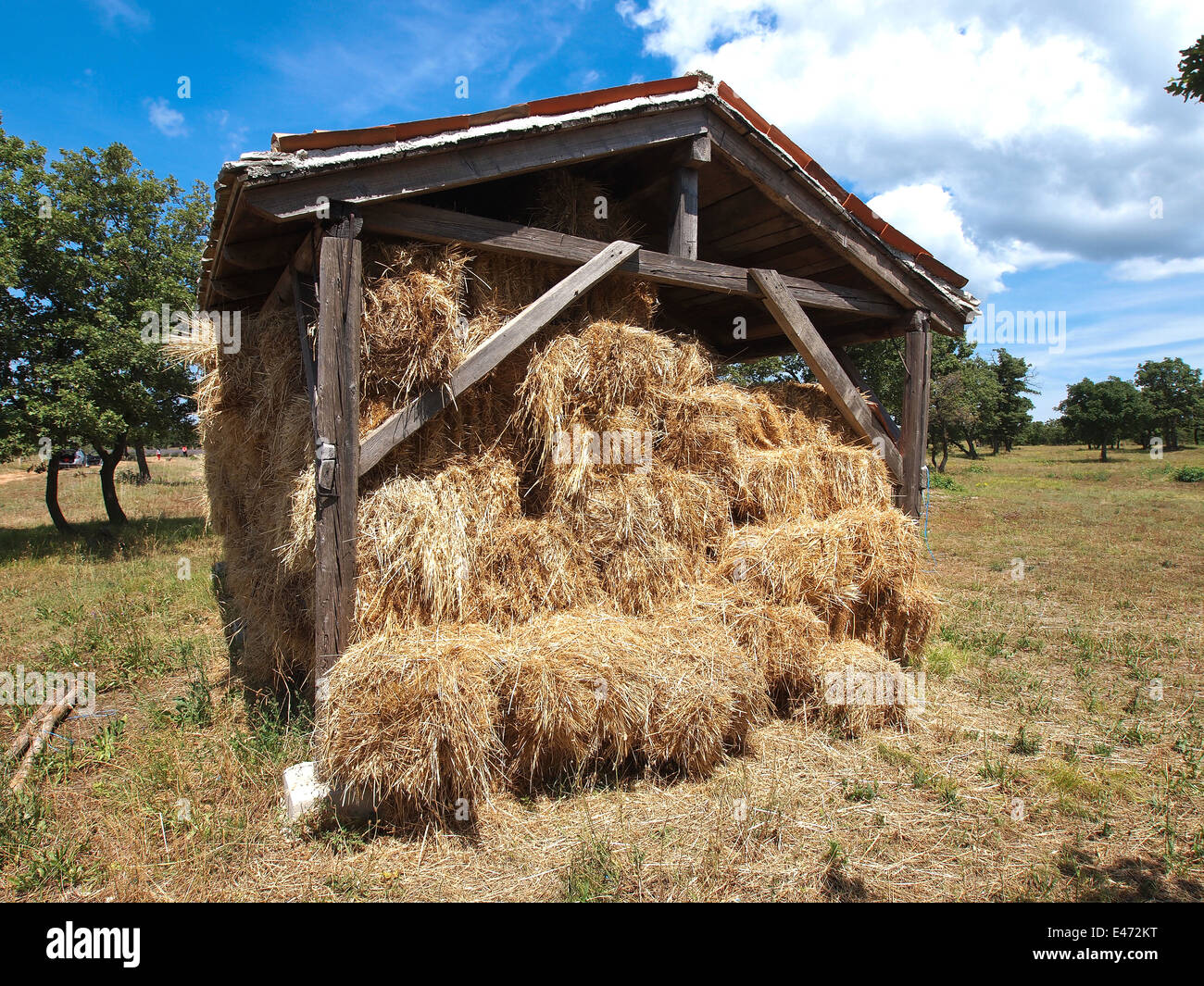Grange à foin sur sunny day Banque D'Images