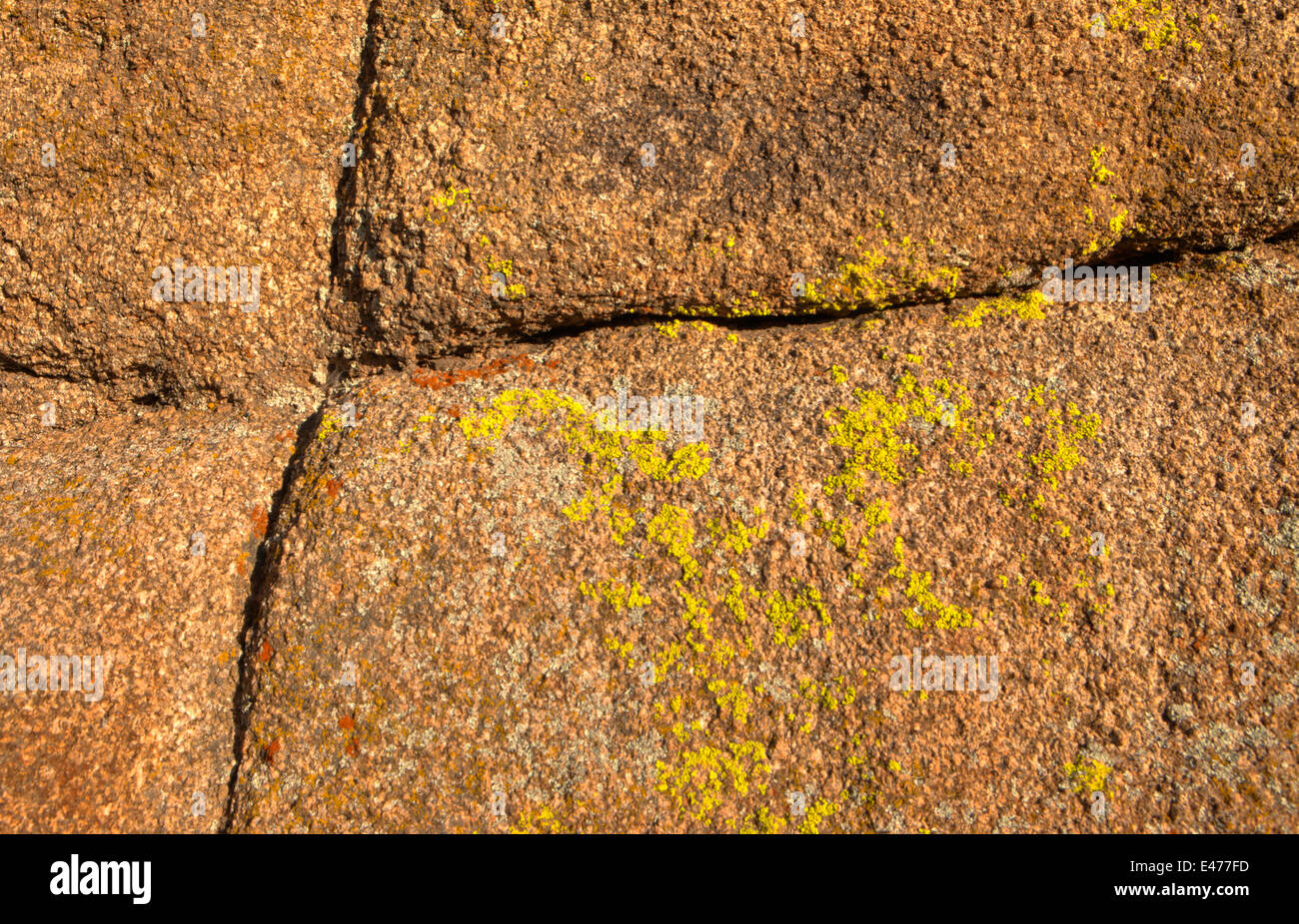 Lichens sur Rock, Joshua Tree National Park, Californie USA Banque D'Images
