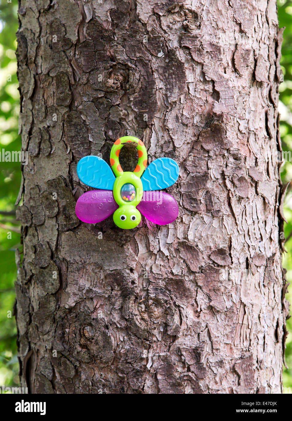 Bug de jouet sur l’arbre Banque D'Images