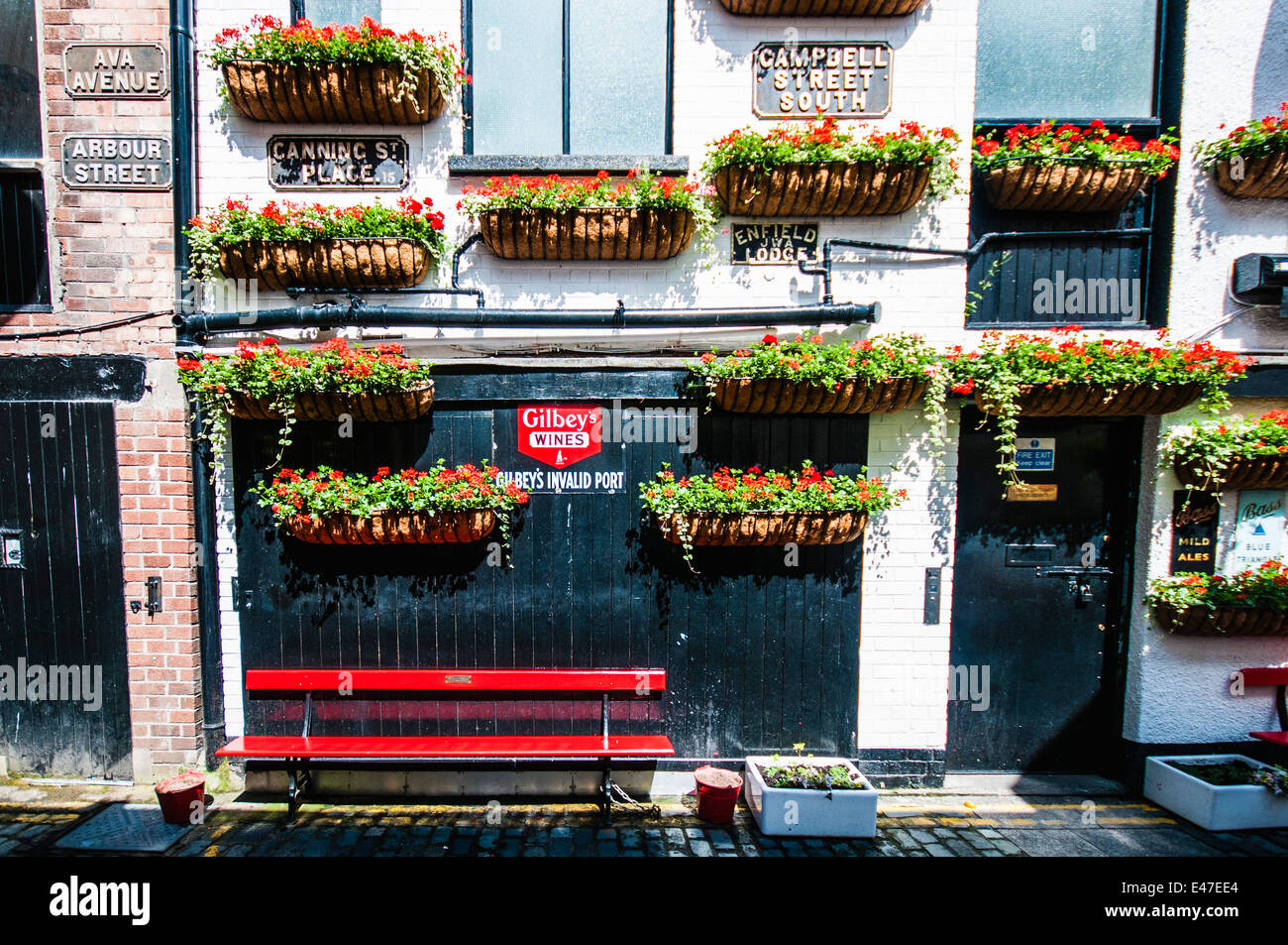Paniers suspendus et bancs rouge à l'extérieur du duc de York pub, Belfast Banque D'Images