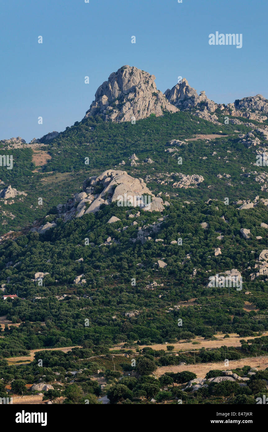 Montagnes rocheuses de granit à Valle della Luna vallée, Aggius, Sardaigne, Italie Banque D'Images