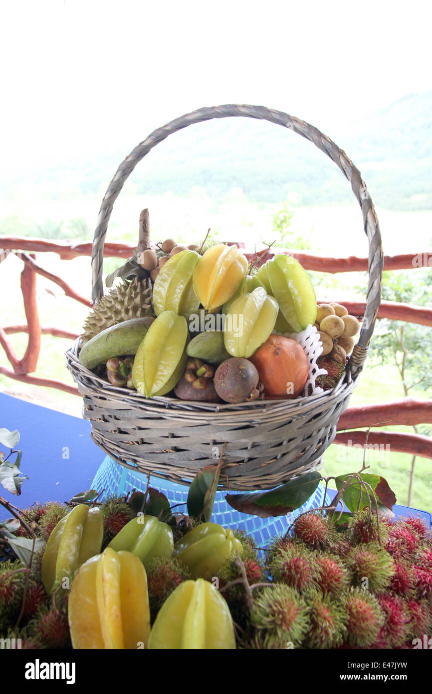 Le panier de fruits sur la table dans le verger. Banque D'Images