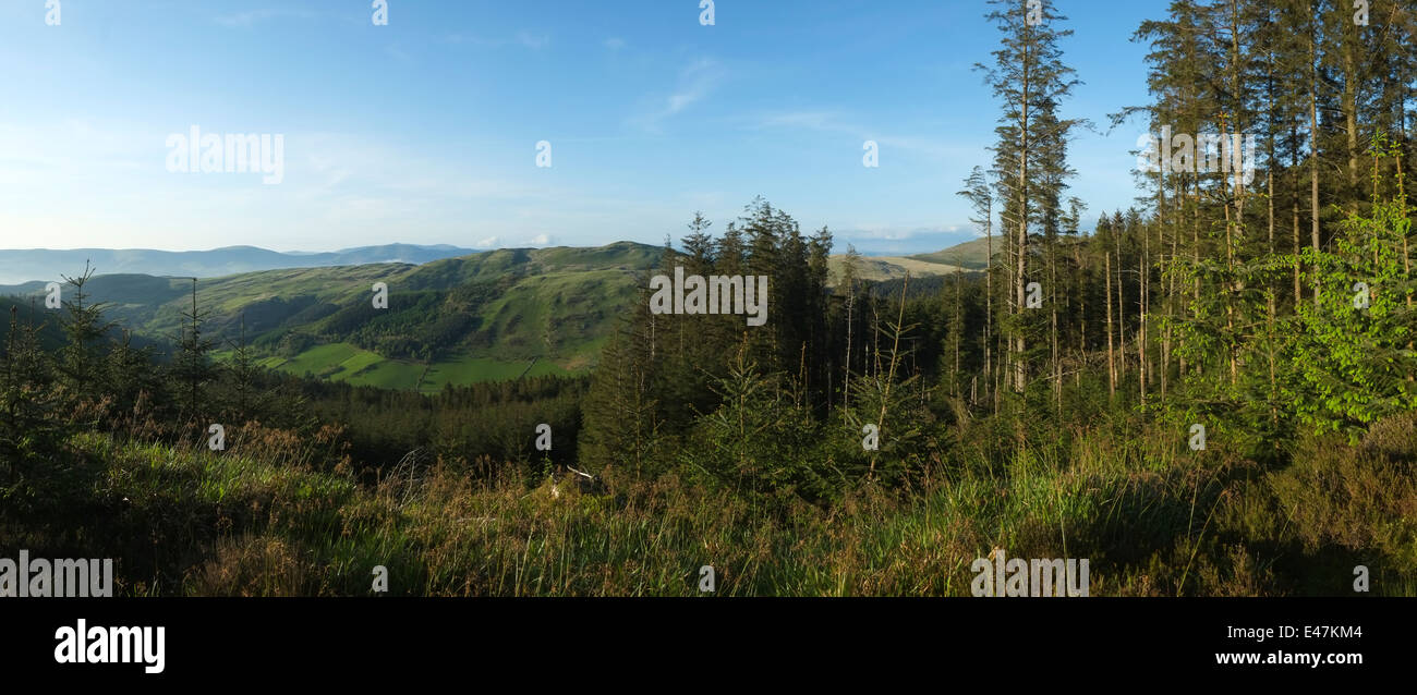 Un panorama à la recherche sur le nord de la vallée Dyfi Biosphere paysage boisé boisées Ceredigion Mid Wales UK Banque D'Images