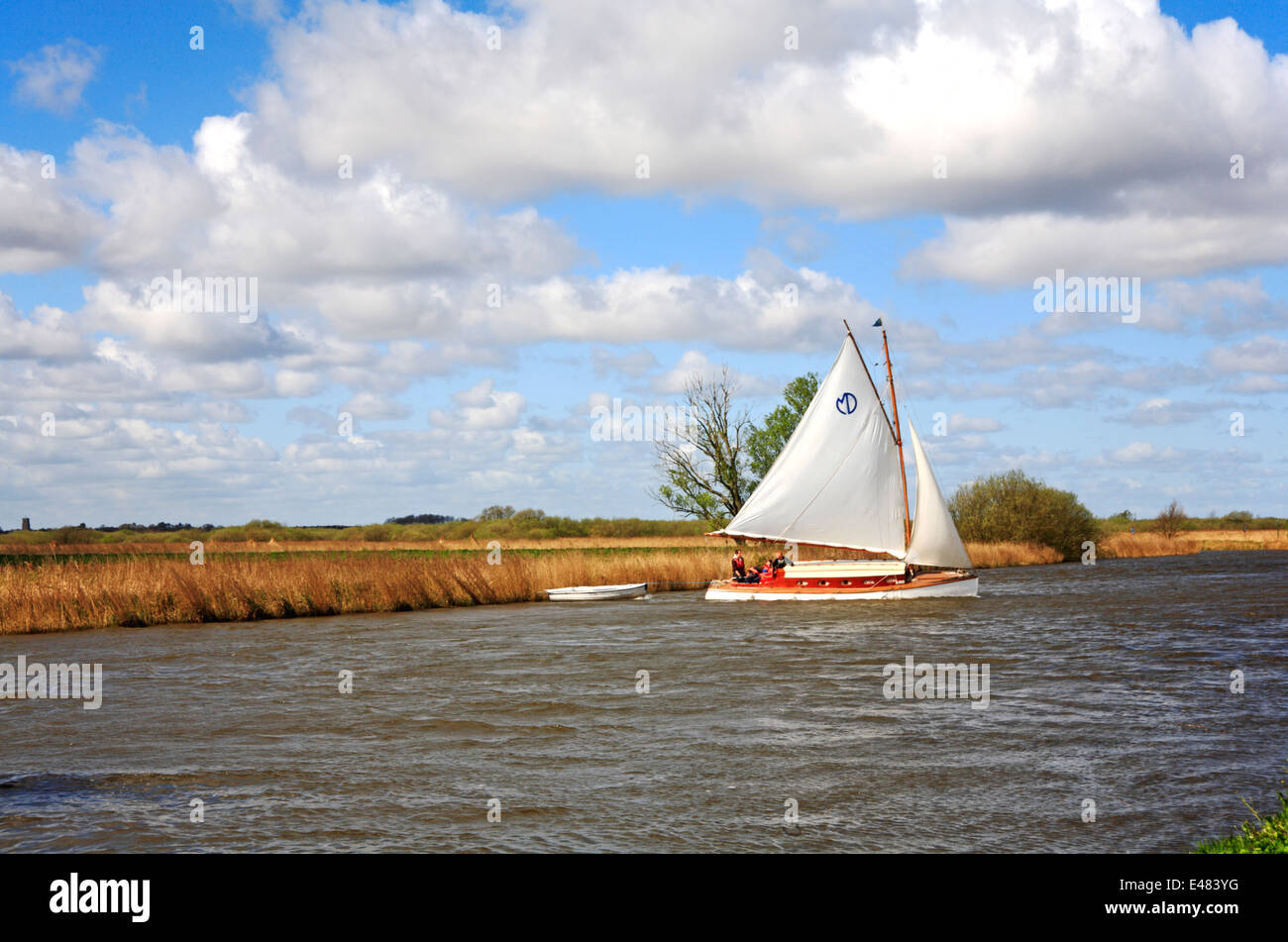 Une vue d'une location de l'adherence contre un vent de face sur les Norfolk Broads Horning, près de Norfolk, Angleterre, Royaume-Uni. Banque D'Images