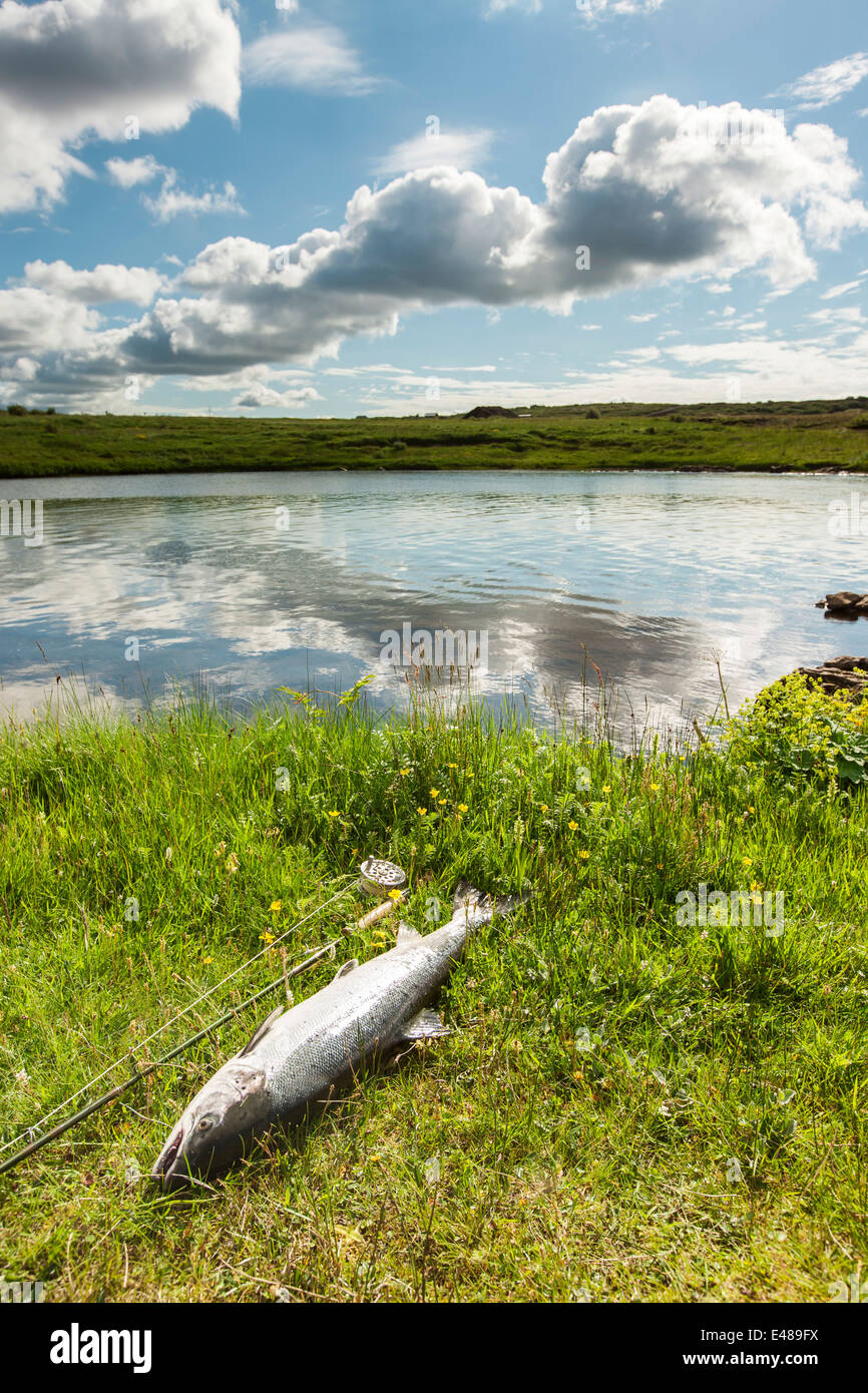 Le saumon atlantique et la mouche sur la rivière Banque D'Images