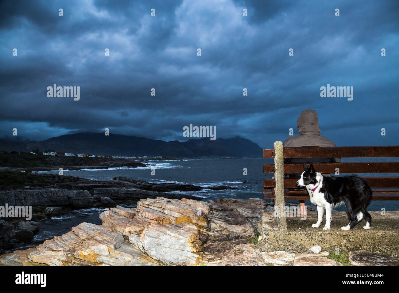 Un homme assis sur un banc au bord de la mer, en attente de l'approche de l'orage. Vagues se brisant. Son border collie, le chien à l'abri. Banque D'Images