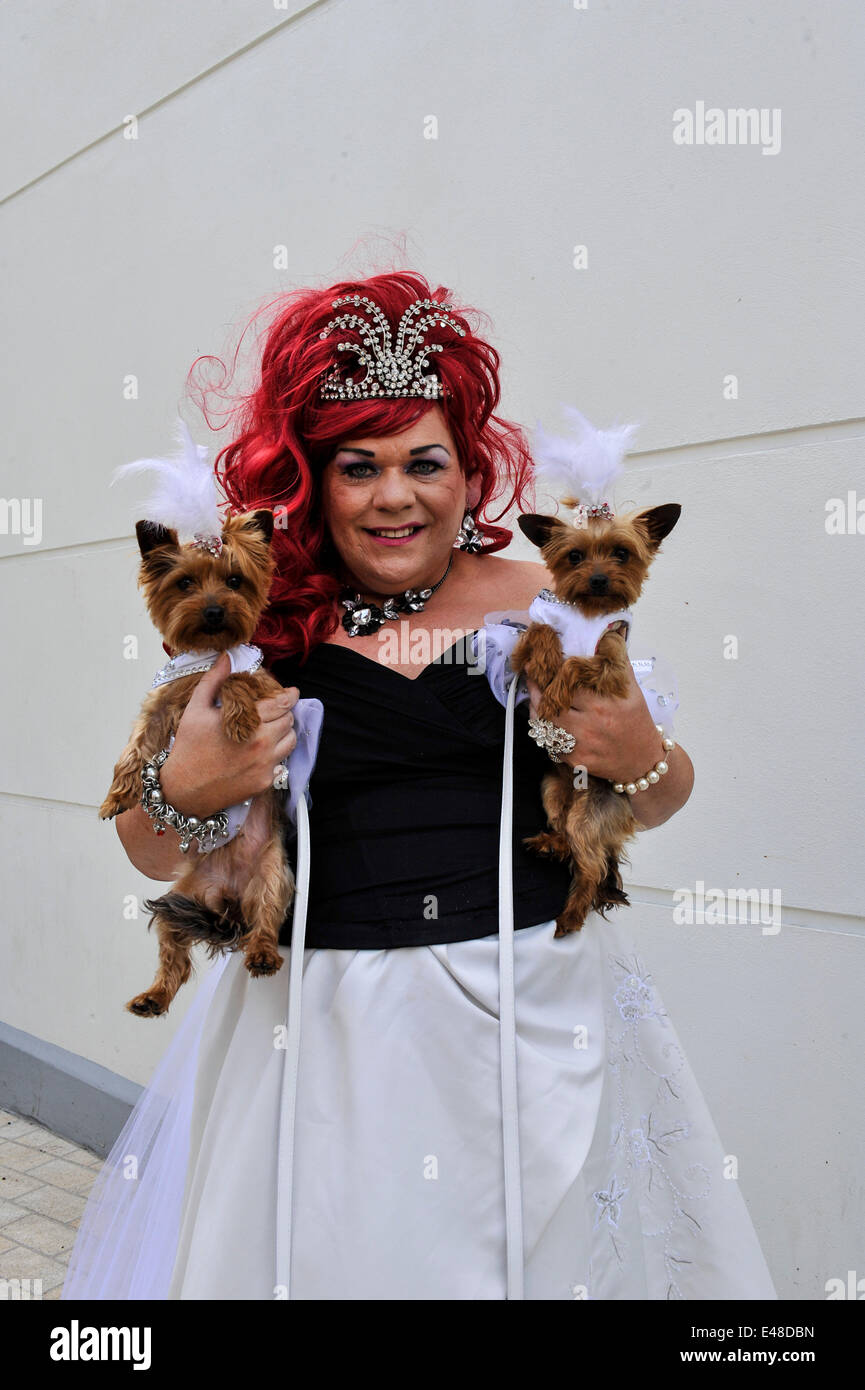 Derry, Londonderry, Irlande du Nord, Royaume-Uni - 05 juillet 2014. Recueillir des épouses pour tentative de record du monde. Candy Love et ses chiens Delilah et Cathy ont été parmi les centaines de jeunes mariées qui ont traversé le pont de la paix, Derry, dans une tentative de créer un nouveau record mondial pour le nombre d'épouses se sont réunis en un seul endroit. 748 l'année dernière, y compris les épouses de quelques hommes, traversé le pont de la paix pour gagner une place dans le Guinness Book des Records. Crédit : George Sweeney / Alamy Live News Banque D'Images