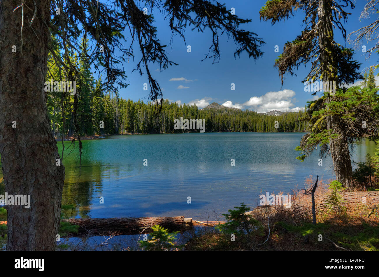 L'un des Twin Lakes céleste (celui du nord) en Oregon's Sky Lakes Wilderness Banque D'Images