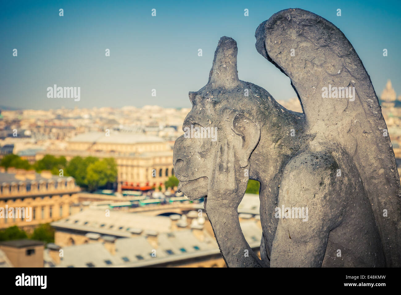Gargouille sur la Cathédrale Notre-Dame Banque D'Images