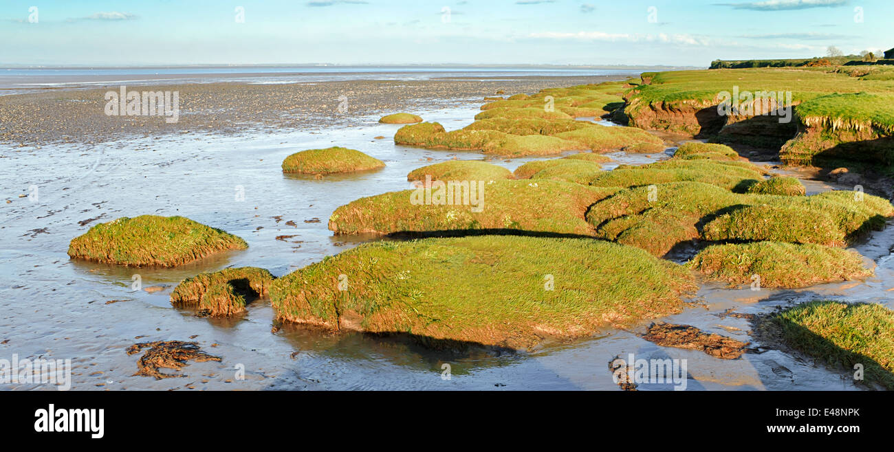 L'estuaire de Solway Firth salt marsh en Cumbria se trouve dans le nord-ouest de l'Angleterre Banque D'Images