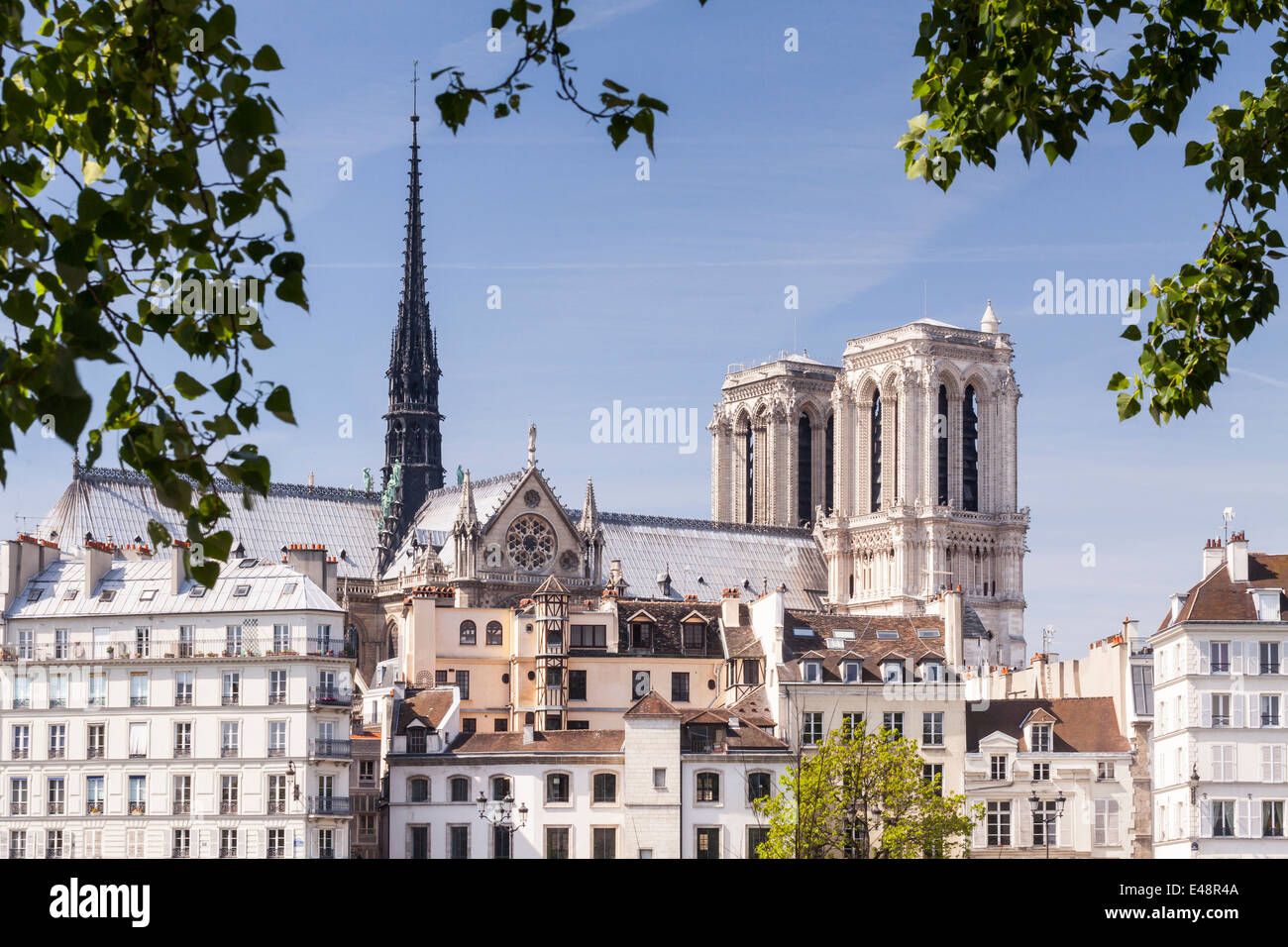 La cathédrale Notre Dame se lever au-dessus de l'Ile de la Cité, Paris. Banque D'Images