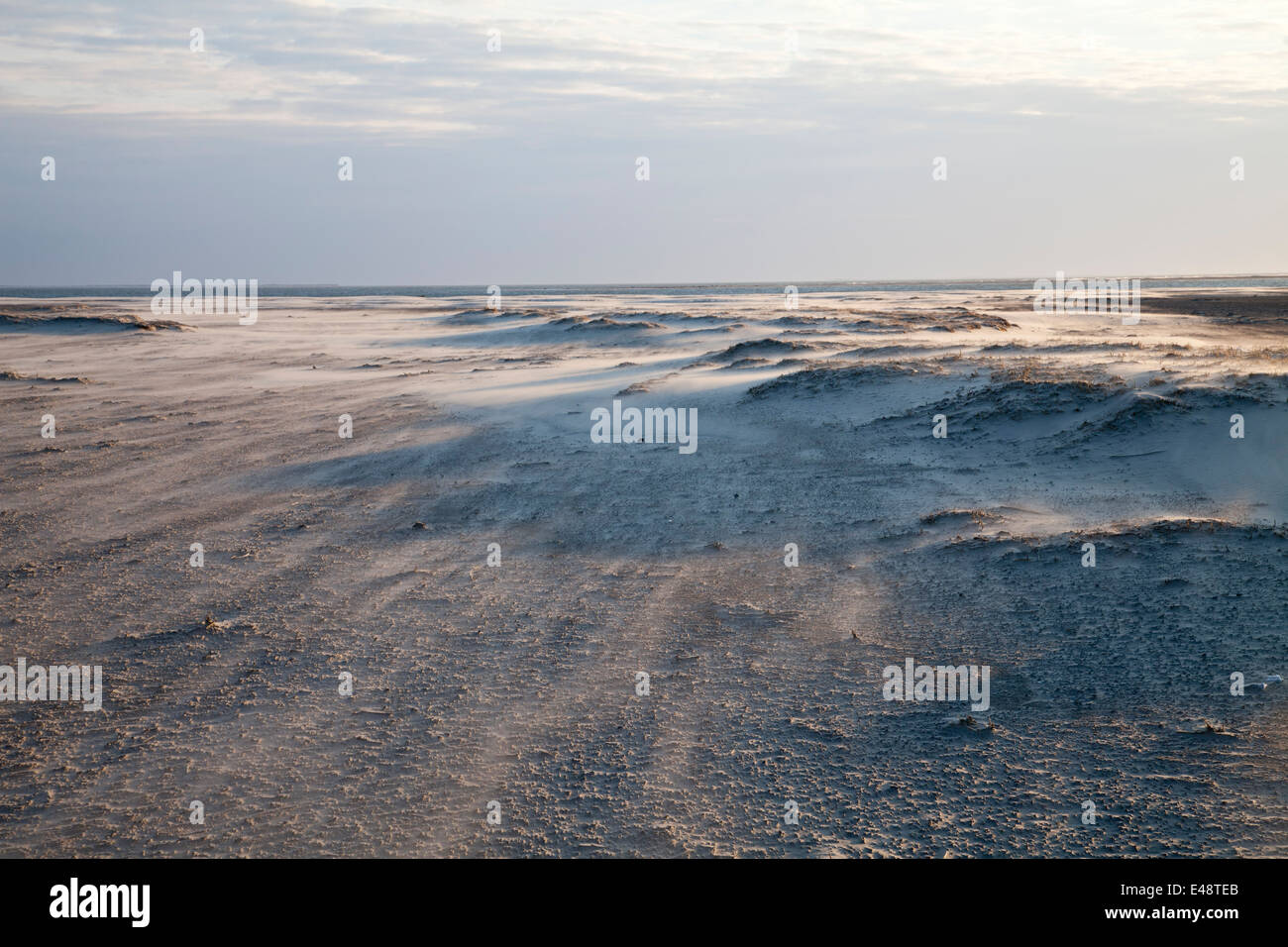 Dunes de sable de plage Nordstrand, Borkum, îles de la Frise orientale, Frise orientale, Basse-Saxe, Allemagne, Europe Banque D'Images