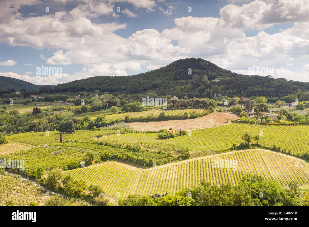 Vignobles près de Montepulciano, Toscane. La région est un grand producteur d'aliments et boissons. Banque D'Images