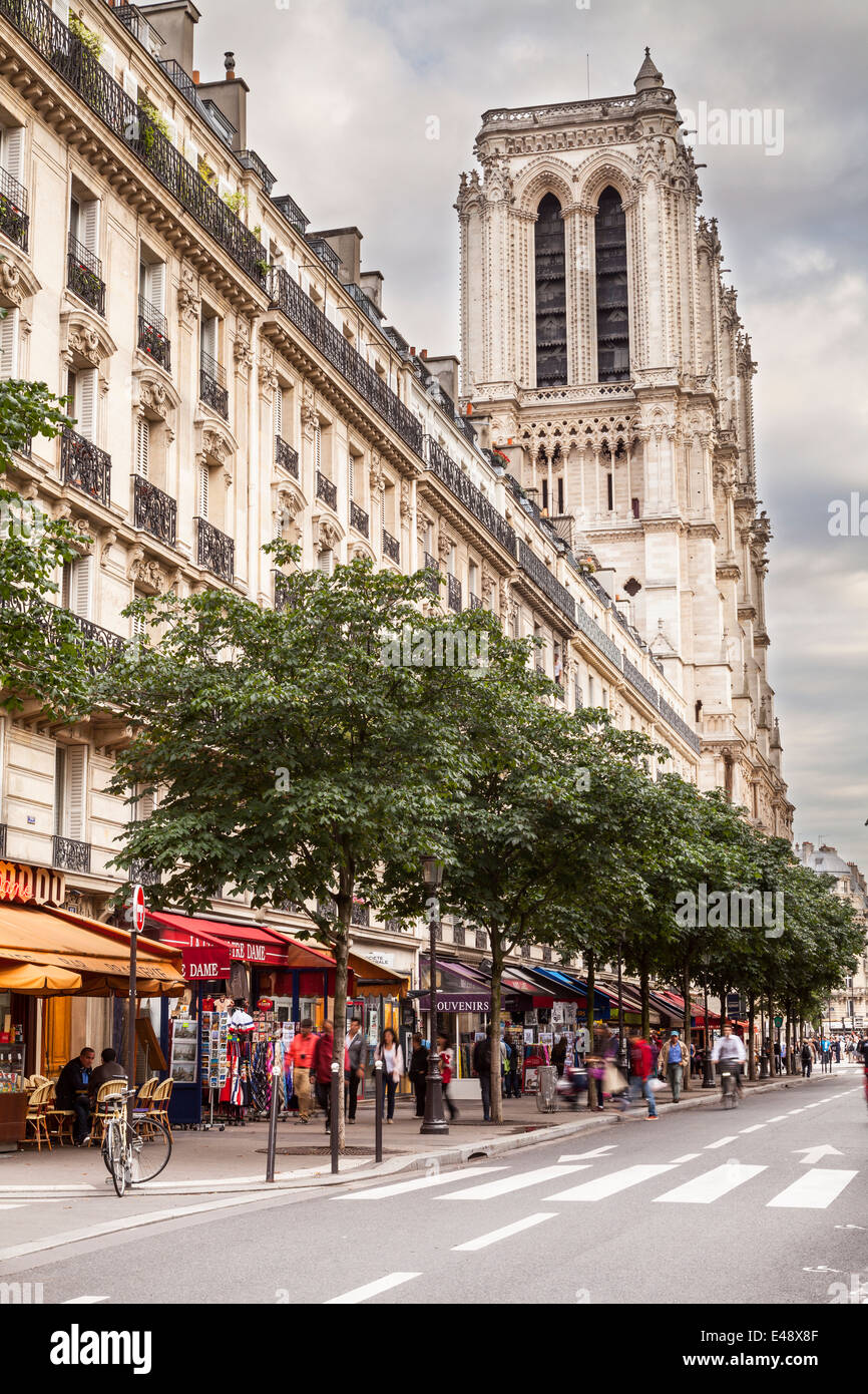 Notre Dame de Paris et l'Ile de la Cité, Paris, France. Banque D'Images