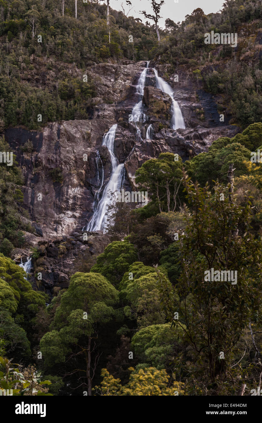 ST COLUMBA FALLS, UNE CHUTE D'EAU, ST COLUMBA FALLS STATE RESERVE, PYENGANA VALE, vallée, St Helens, dans le nord est de la Tasmanie, Australie Banque D'Images