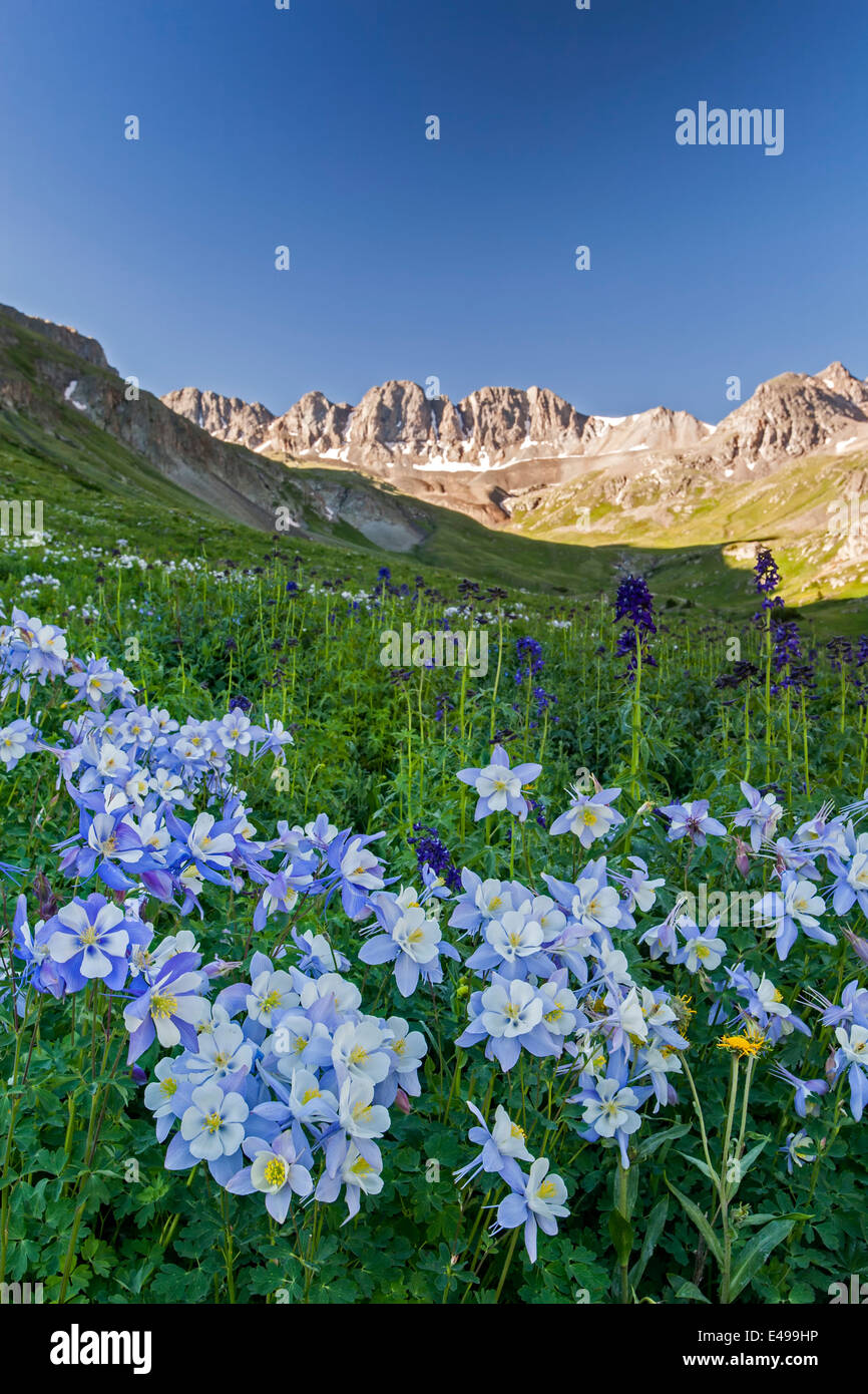 tats Unis Monts San Juan Colorado t Paysage Banque De Photographies tats-unis-monts-san-juan-colorado-t-paysage-banque-de-photographies