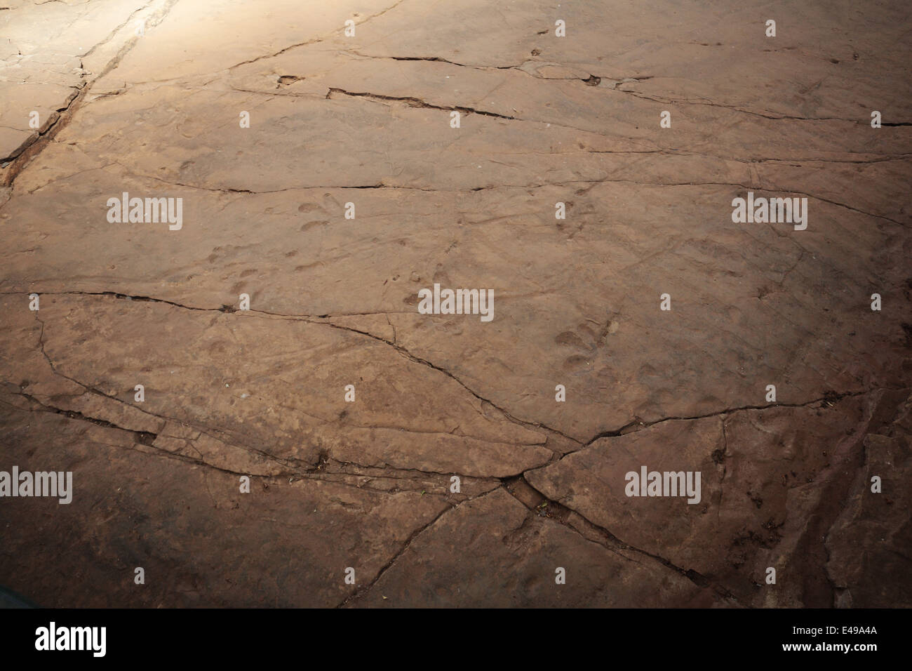 Traces de dinosaures fossilisées près de Quthing au Lesotho Banque D'Images