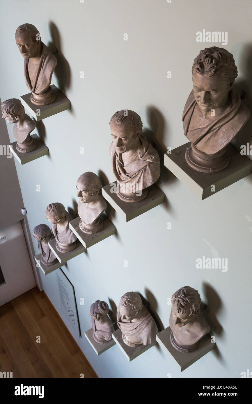 Ashmolean Museum bustes Banque D'Images