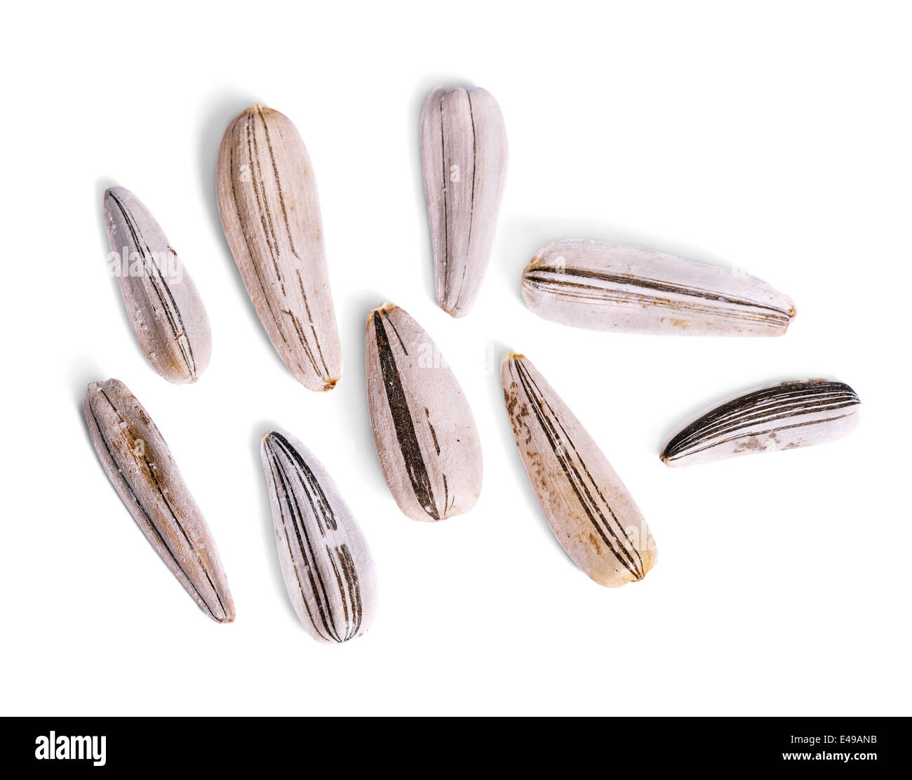 Graines de tournesol macro sur un fond blanc, isolé Banque D'Images