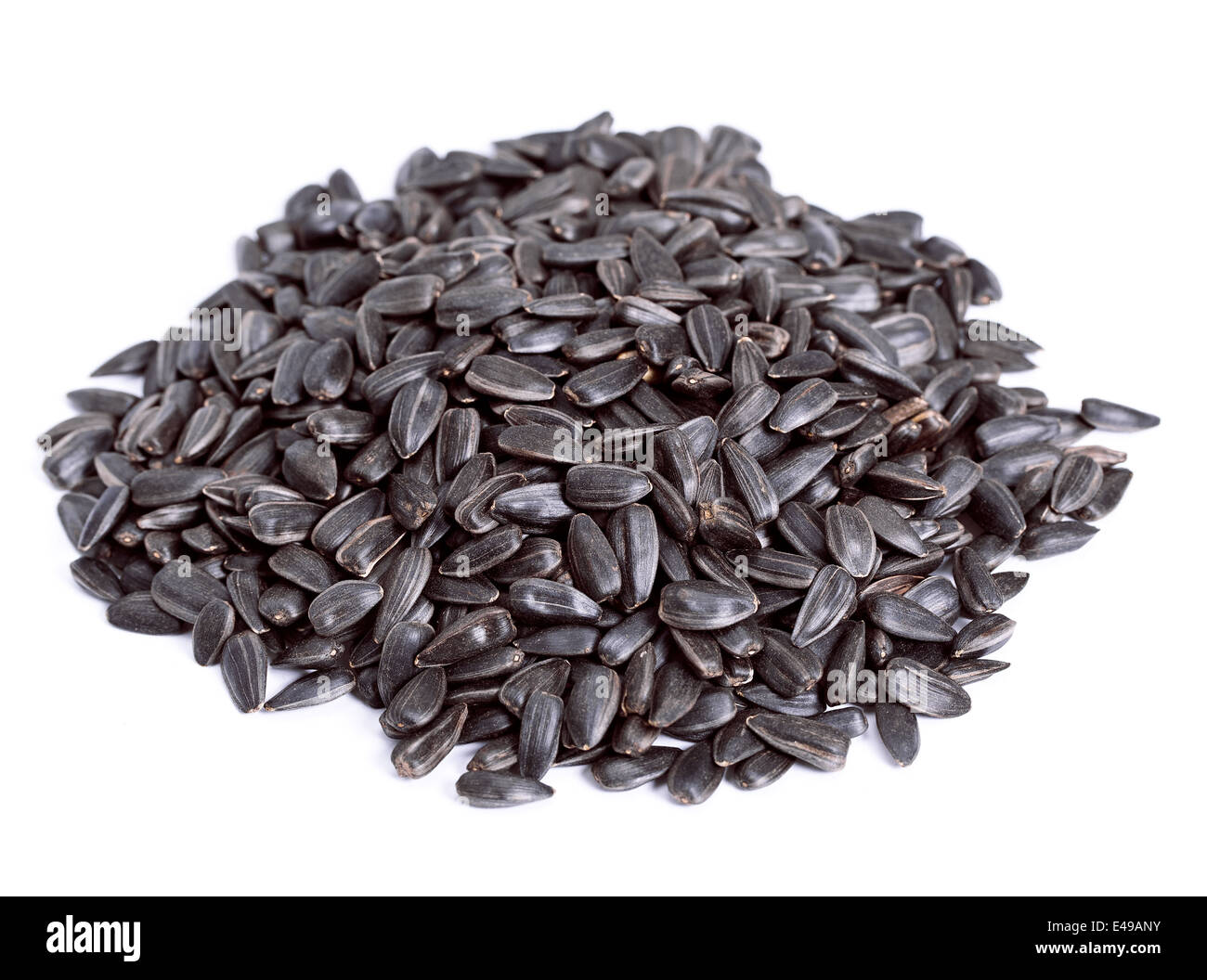 Graines de tournesol sur fond blanc, isolé Banque D'Images