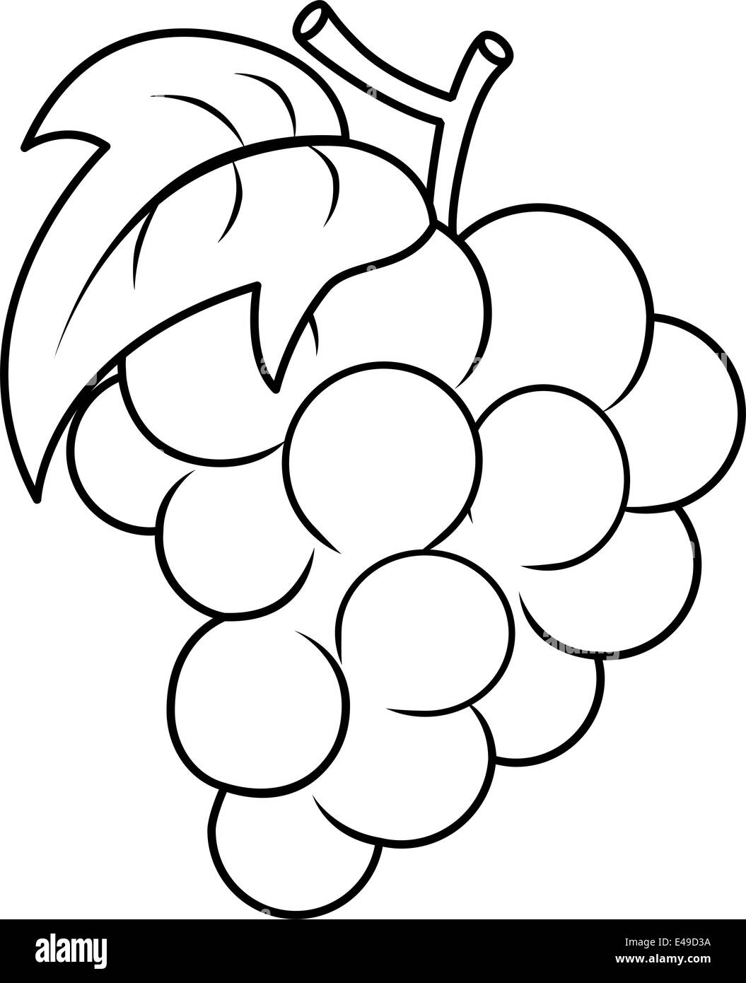 L'illustration du livre de coloriage avec les contours d'une grappe de raisin Banque D'Images