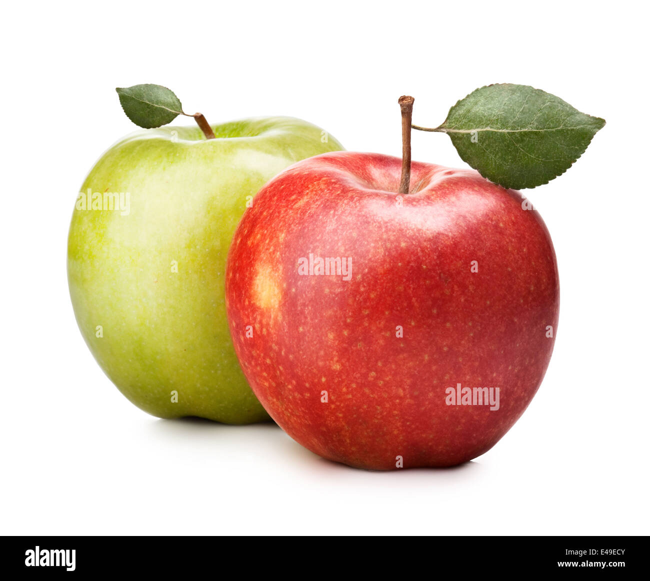 Pomme verte et rouge sur fond blanc Banque D'Images