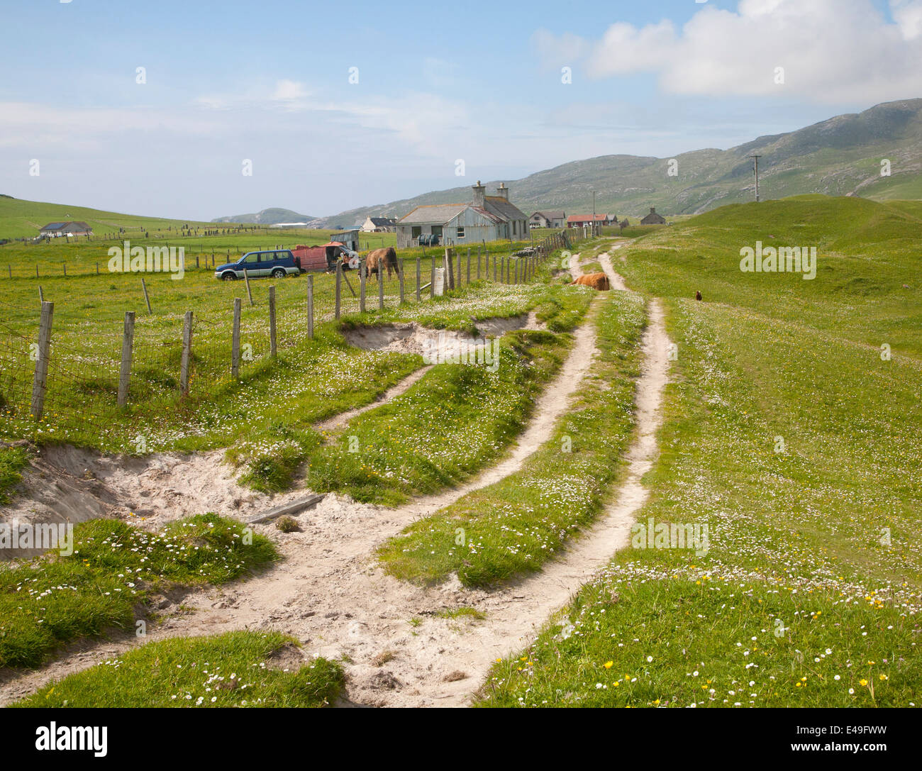 Piste sablonneuse en herbe paysage "machair" crofting sur Vatersay, à l'île de Barra, Hébrides extérieures, en Écosse Banque D'Images