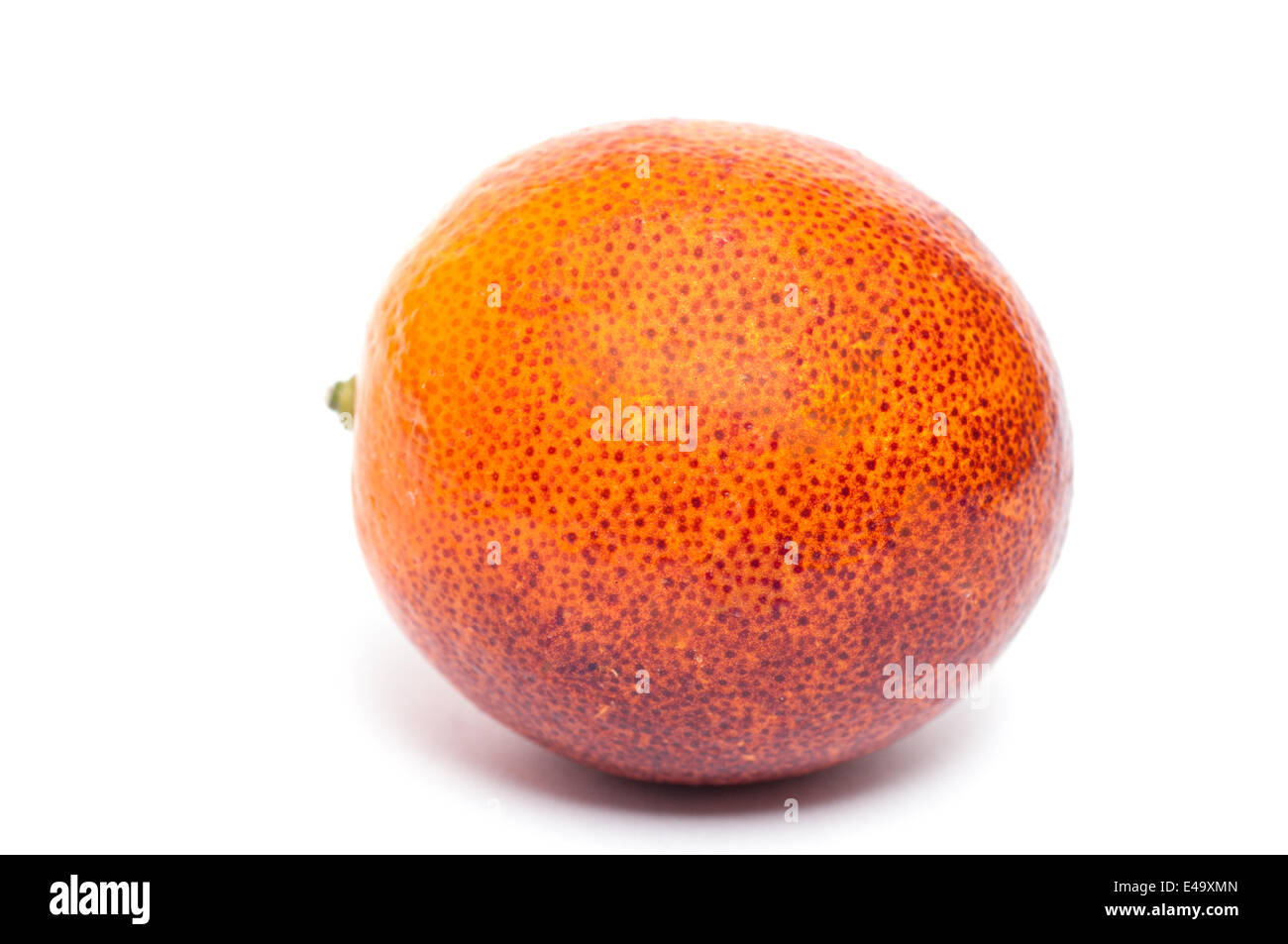 Orange sanguine devant un fond blanc Banque D'Images